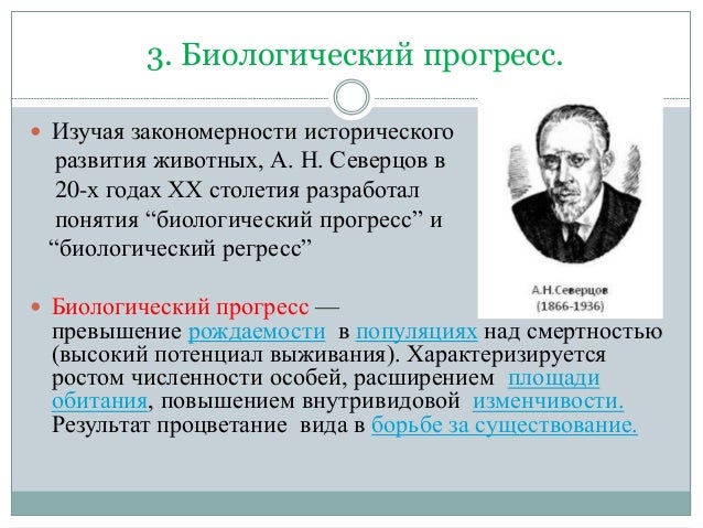 Размеры бумаги для модулей оригами Размеры бумаги для модулей оригами
